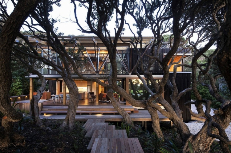 Under Pohutukawa house design