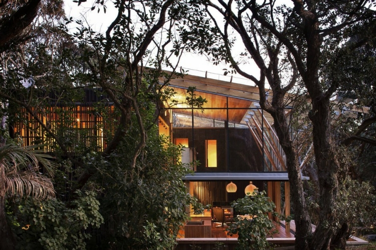 Under Pohutukawa house design
