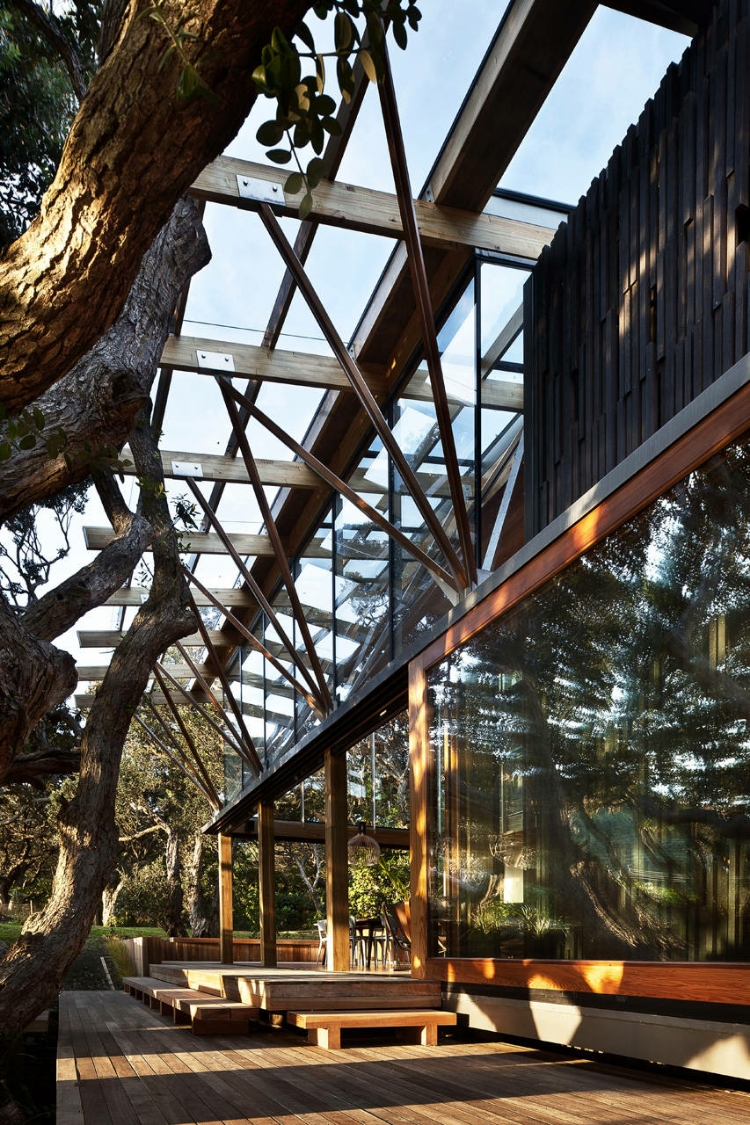 Under Pohutukawa house design