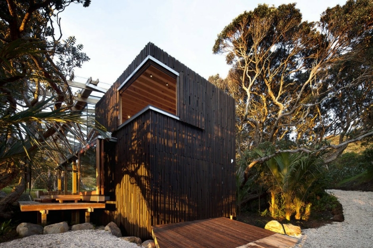 Under Pohutukawa house design