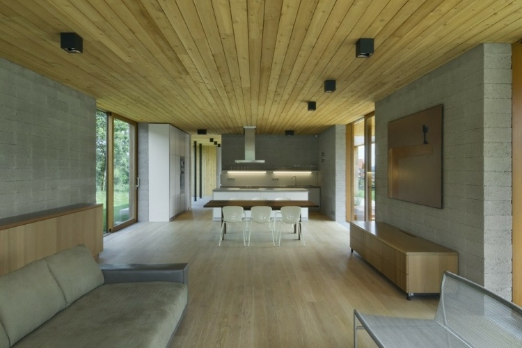 Modern Weekend House in Buš