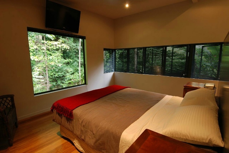 Tree House