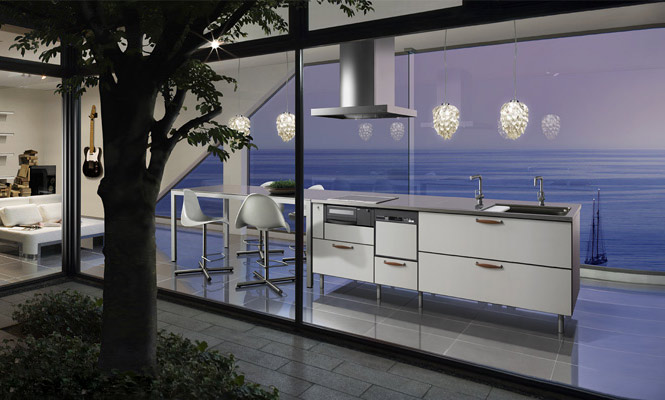Japanese Toyo Kitchen