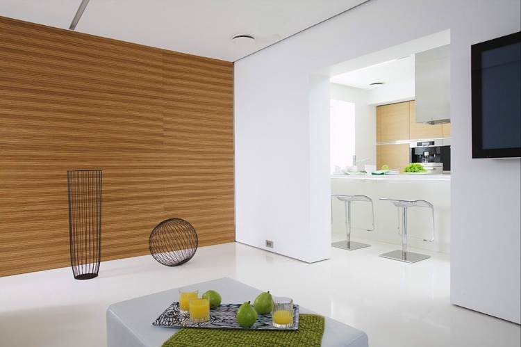 White Cube Apartment Interior Design