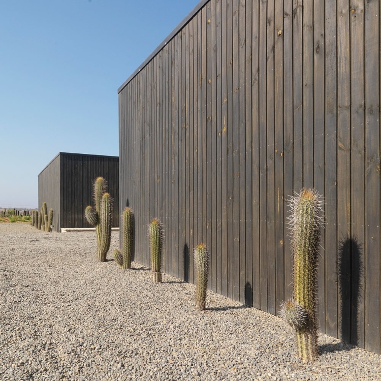 House W by 01Arq
