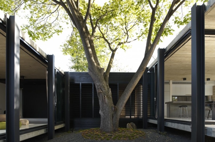 Elm and Villow House