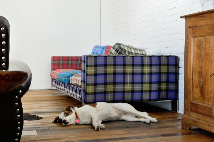 Loft Sangervasio
