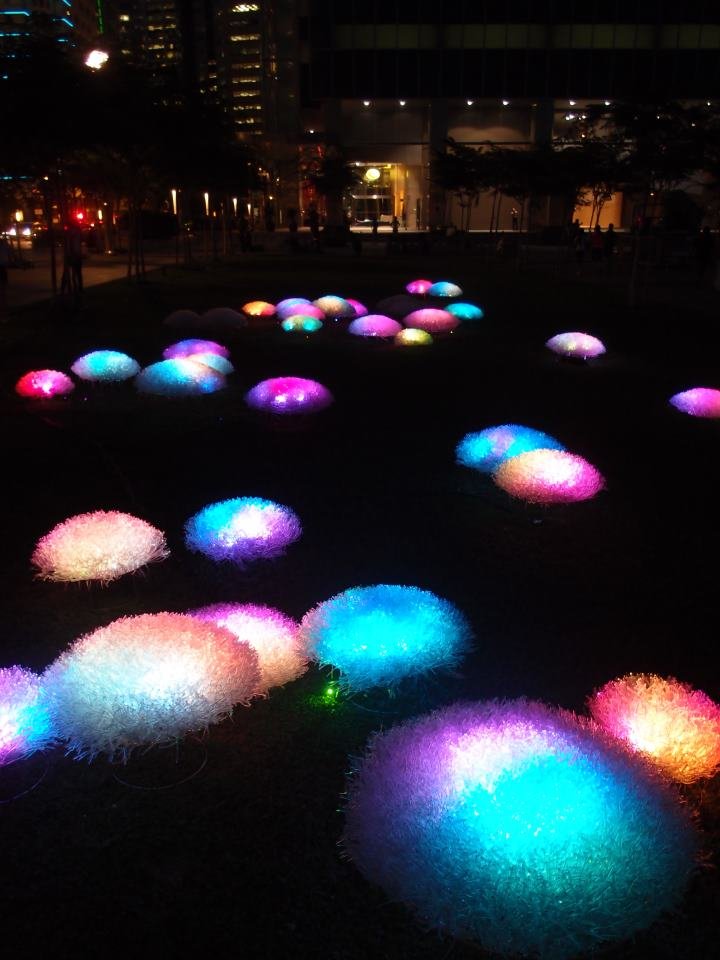 Anemone Collection lighting
