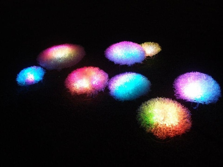 Anemone Collection lighting