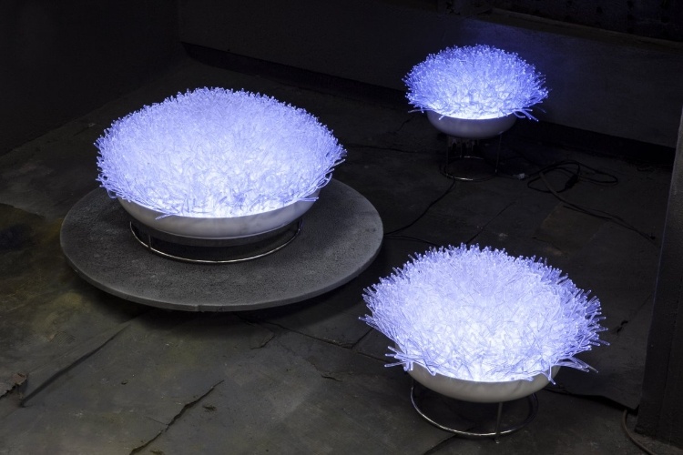 Anemone Collection lighting