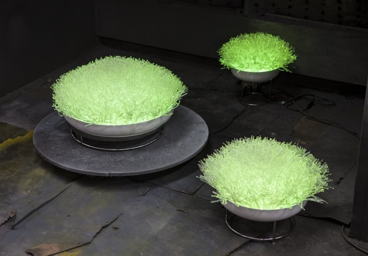 Anemone Collection lighting