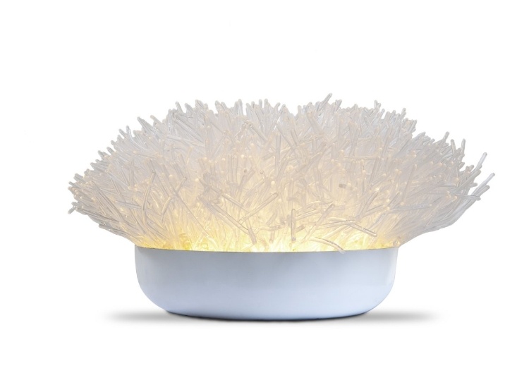 Anemone Collection lighting