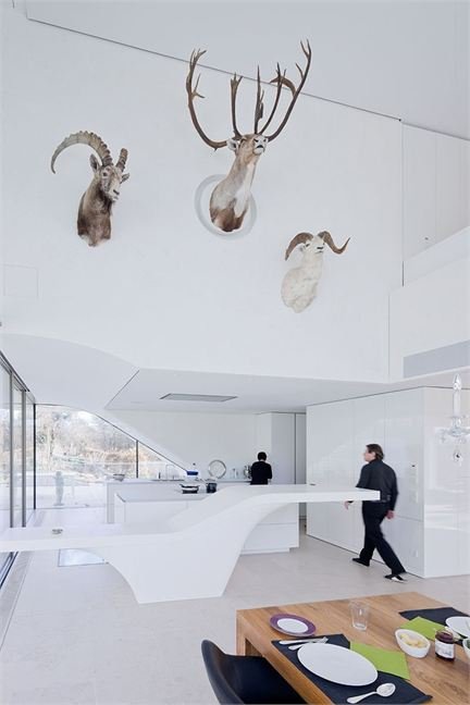 Weinberg House by UNStudio