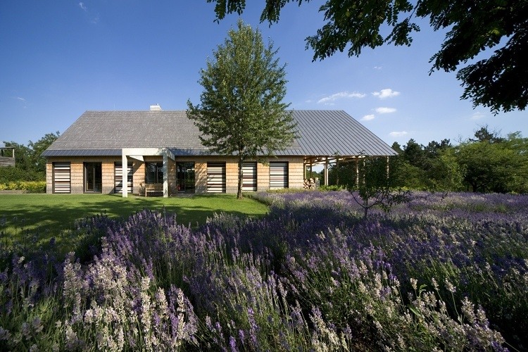 H House by Budapesti Műhely H House by Budapesti Muhely - 11