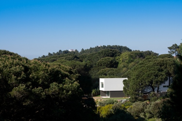 Godiva House design
