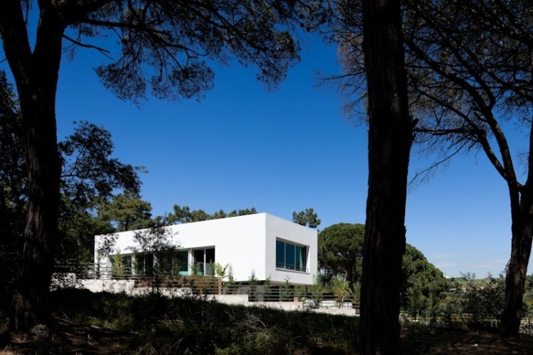 Godiva House design