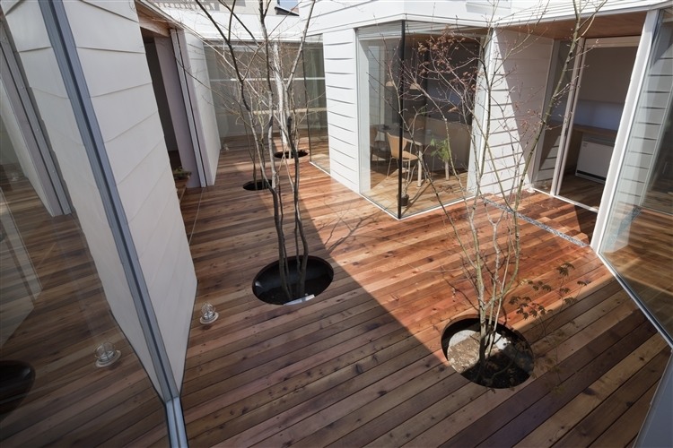 Sky Catcher House