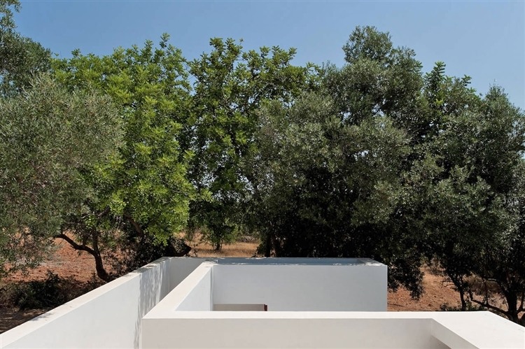 House of Agostos
