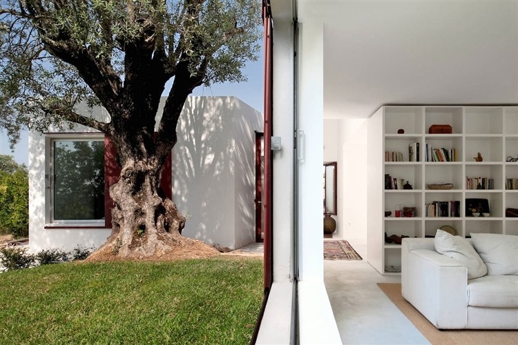 House of Agostos