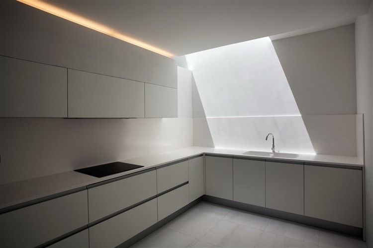 alt house design