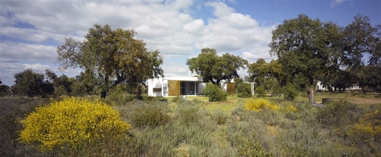 Casa Entre Encinas