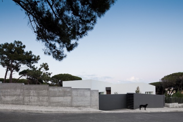 Godiva House design