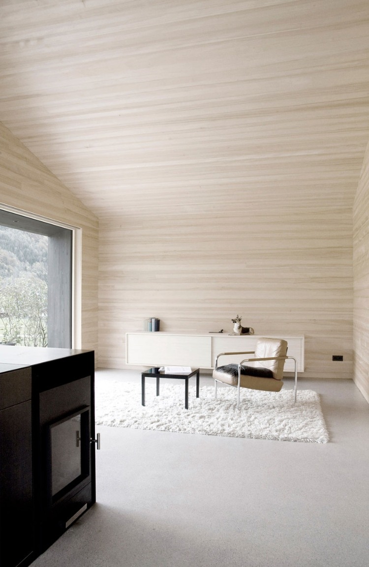 Wooden House design