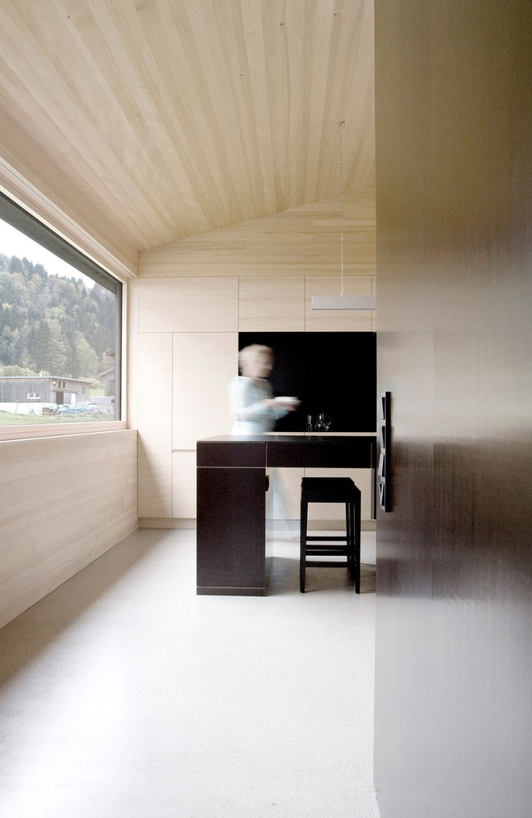 Wooden House design