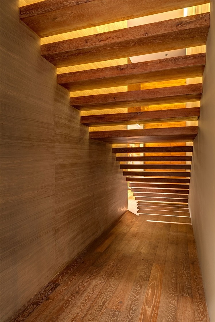 Apartment P1