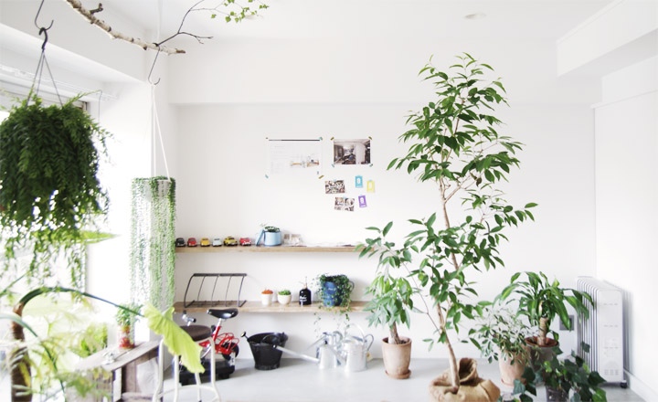 Minimalistic Japanese Interior