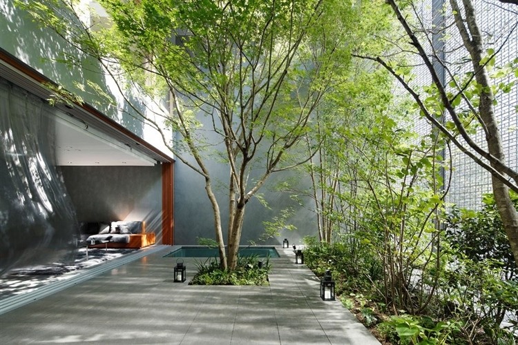 Optical Glass House