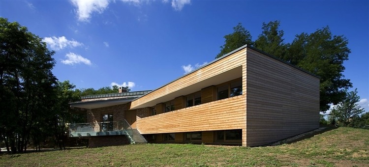 Twin Houses