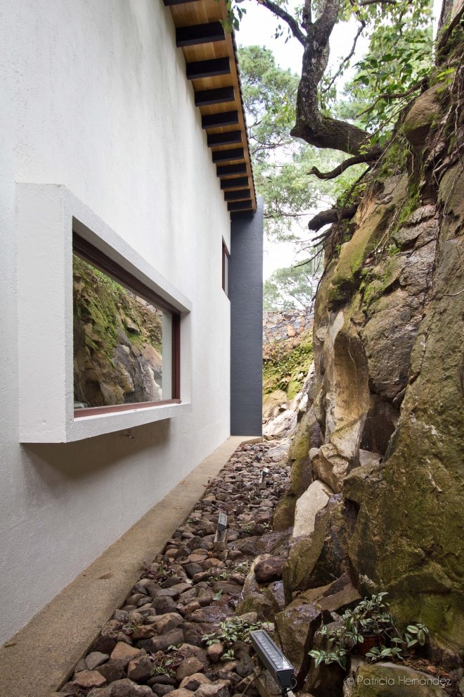 La Casa en el Bosque