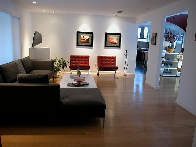 San Diego Loft by Mia Rao Design