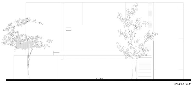 House Among Trees by Muñoz Arquitectos Asociados