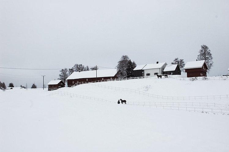 Villa Nannestad by Askim/Lantto Arkitekter