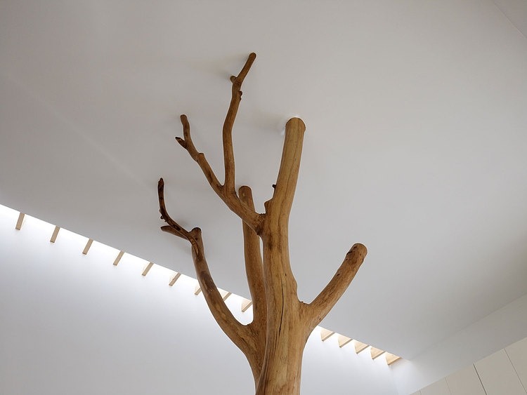Garden Tree House by Hironaka Ogawa & Associates