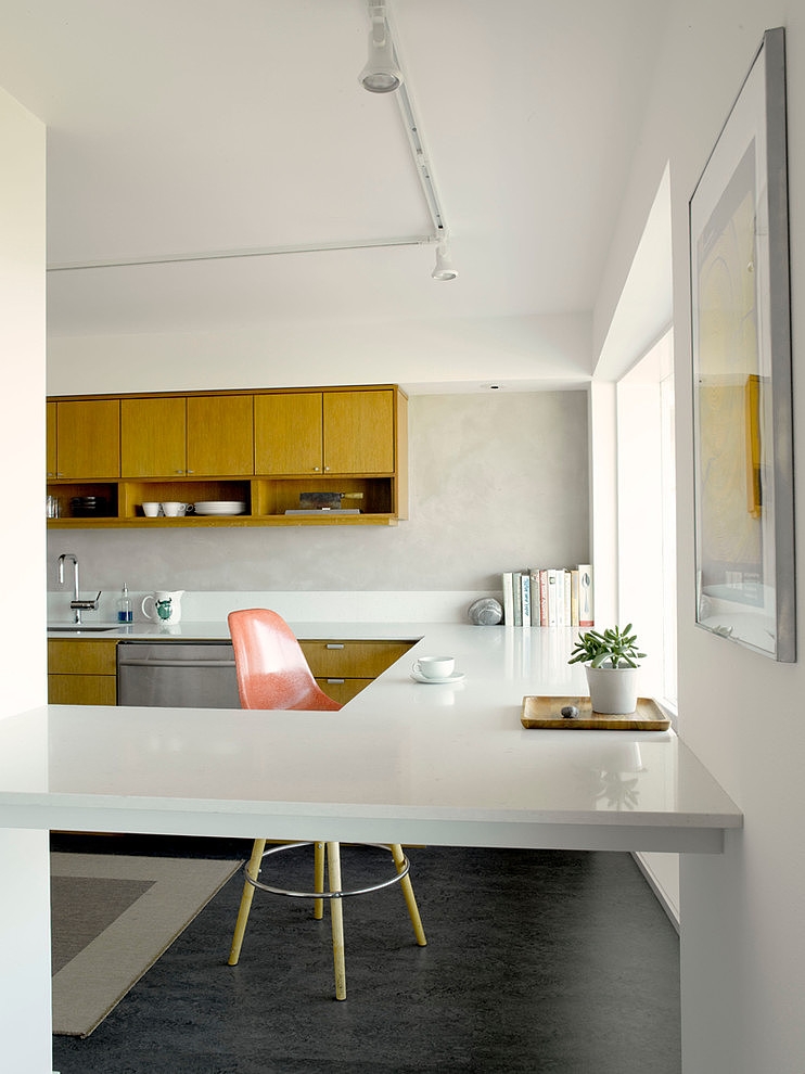 Mid Century Flat Remodel by SHED Architecture & Design