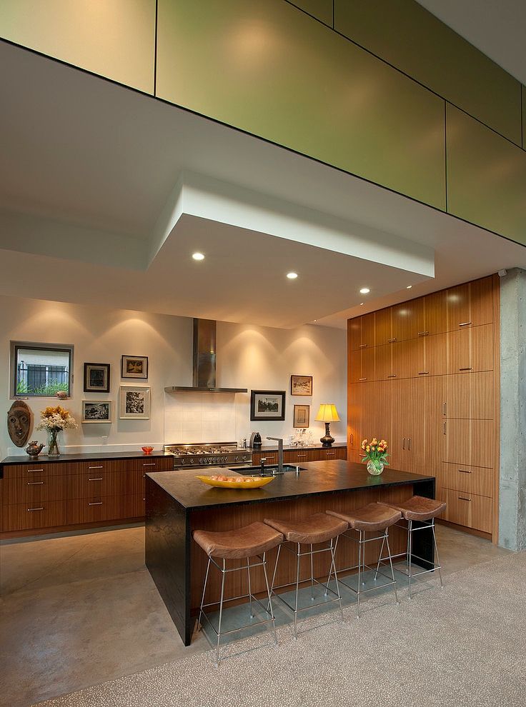 Goodman Residence by Abramson Teiger Architects