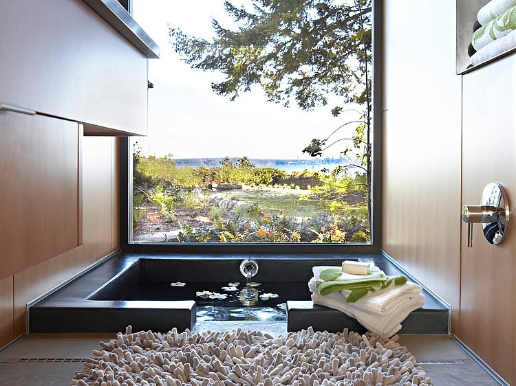 Ellis Residence by Coates Design Architects Seattle