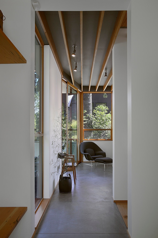 Modern House by SHED Architecture & Design