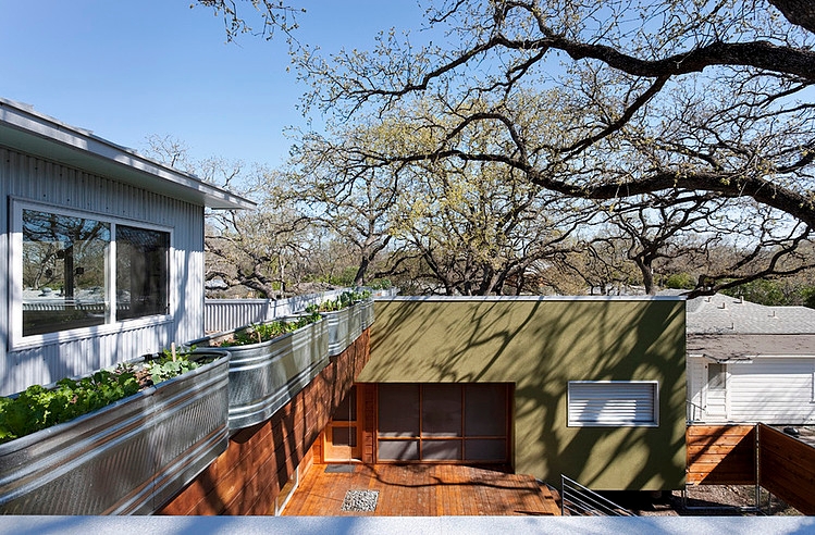 Under Tree House by Loop Design
