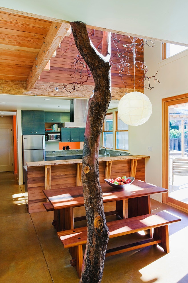Santa Cruz Straw Bale House by Arkin Tilt Architects