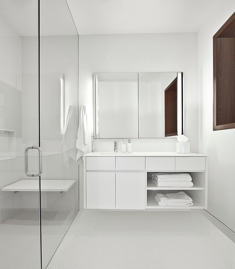 Lincoln Park Residence by Vinci | Hamp Architects