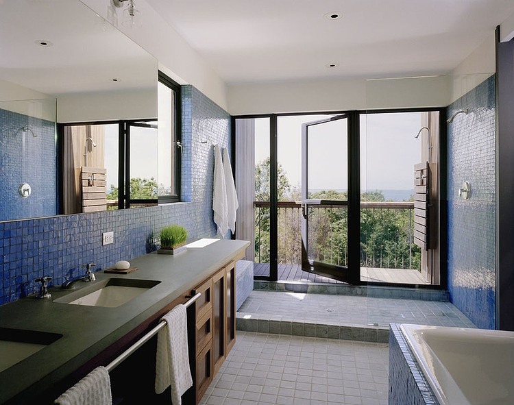 Bluff House by Robert Young Architects