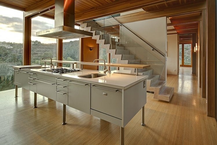 Hollywood Hills House by A+E Architecture
