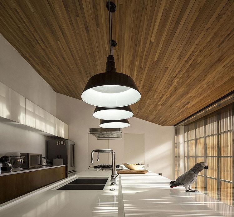 M&M House by StudioMK27