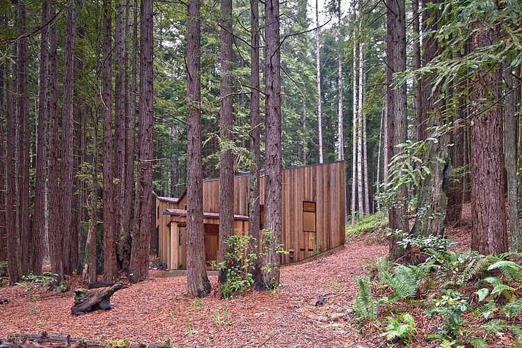Sea Ranch Cabin by Frank / Architects