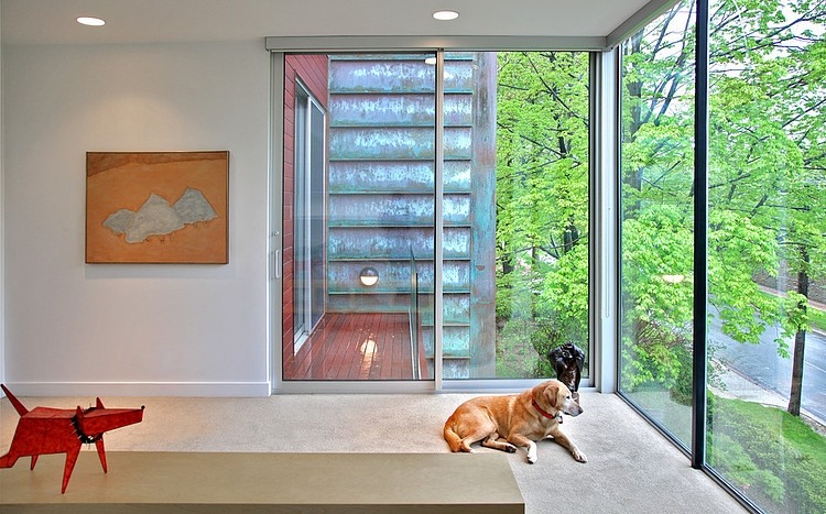 Washington DC Residence by Travis Price Architects