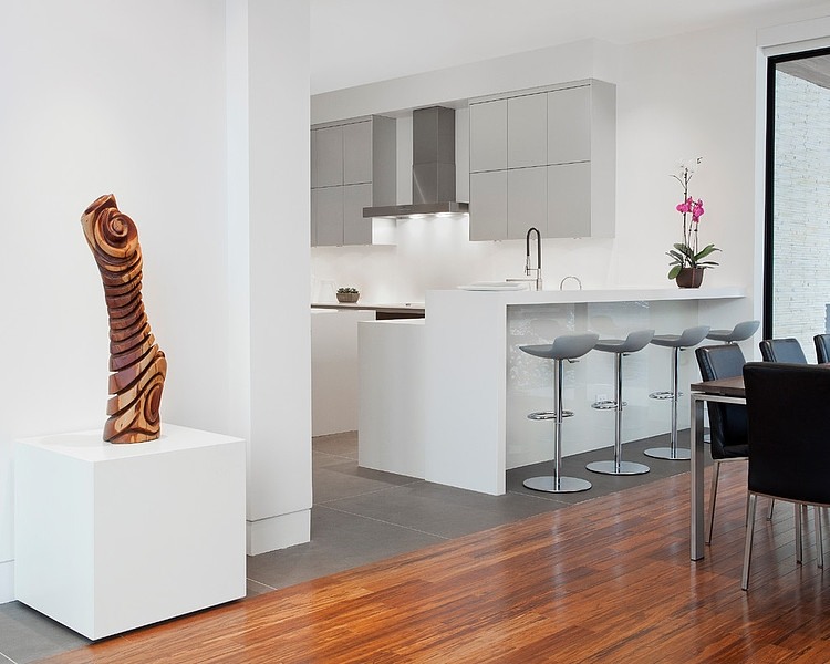 Lincoln Park Residence by Joseph Trojanowski